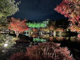 国営昭和記念公園 秋の夜散歩に投稿された画像（2022/11/18）