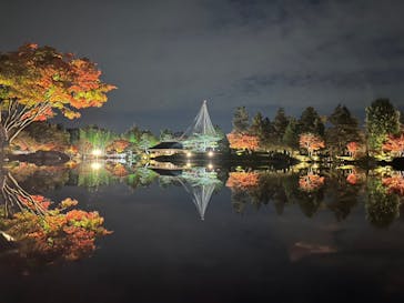 国営昭和記念公園 秋の夜散歩に投稿された画像（2022/11/17）