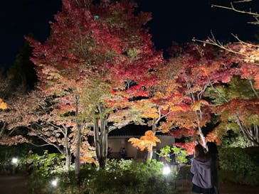 国営昭和記念公園 秋の夜散歩に投稿された画像（2022/11/17）