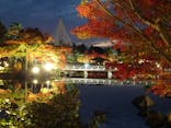 国営昭和記念公園 秋の夜散歩に投稿された画像（2022/11/18）