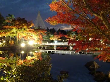 国営昭和記念公園 秋の夜散歩に投稿された画像（2022/11/17）