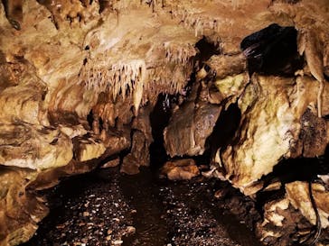 あぶくま洞に投稿された画像（2022/11/14）