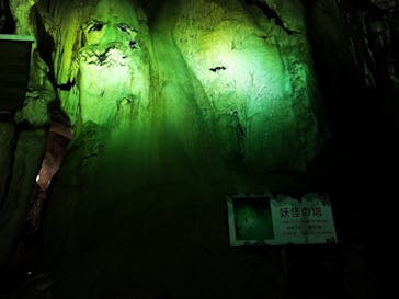 あぶくま洞に投稿された画像（2022/11/14）