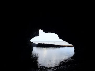 ブルーラグーン石垣島に投稿された画像（2022/11/17）