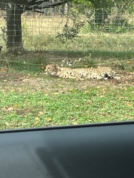 姫路セントラルパークに投稿された画像（2022/11/17）