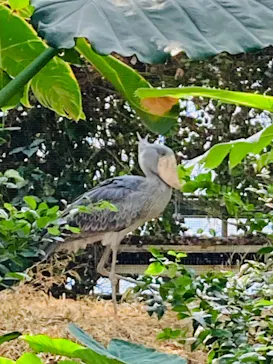 神戸どうぶつ王国に投稿された画像（2022/11/18）