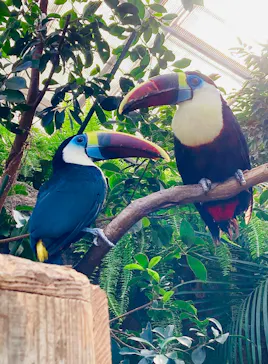 神戸どうぶつ王国に投稿された画像（2022/11/18）