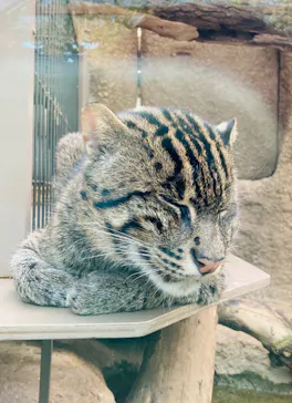 神戸どうぶつ王国に投稿された画像（2022/11/18）