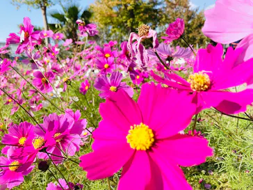 神戸どうぶつ王国に投稿された画像（2022/11/18）