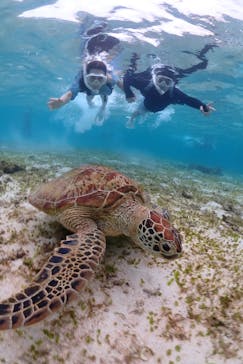 宮古島マリン SUGAR3（シュガースリー）に投稿された画像（2022/11/18）