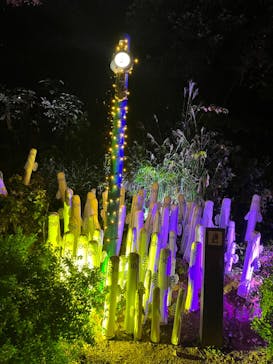 ムーミンバレーパークに投稿された画像（2022/11/18）