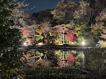 国営昭和記念公園 秋の夜散歩に投稿された画像（2022/11/18）