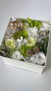 ずこうしつ〜sugamo〜に投稿された画像（2022/11/18）