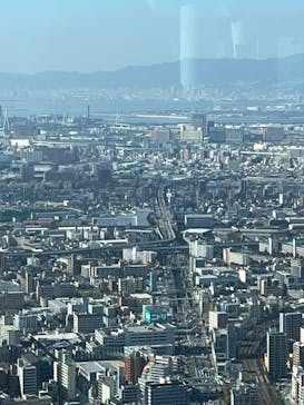 ハルカス300(展望台)に投稿された画像（2022/11/18）