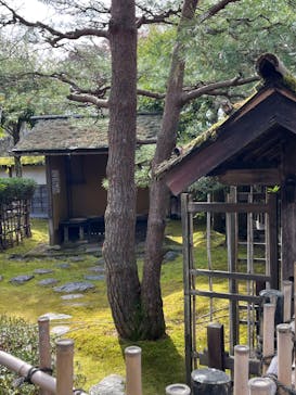 鶴ヶ城に投稿された画像（2022/11/18）