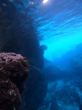 沖縄マリンサービス碧に投稿された画像（2022/11/18）