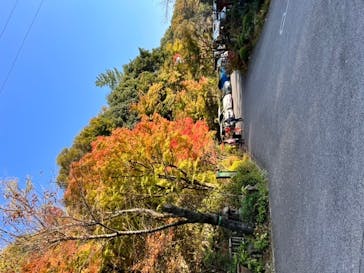 アソビュー株式会社　150881に投稿された画像（2022/11/18）