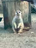 よこはま動物園ズーラシアに投稿された画像（2022/11/18）
