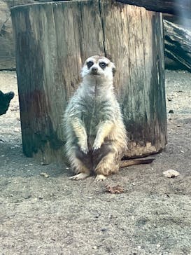 よこはま動物園ズーラシアに投稿された画像（2022/11/18）