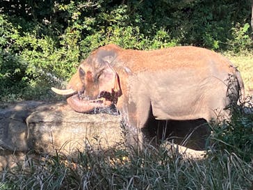 よこはま動物園ズーラシアに投稿された画像（2022/11/18）