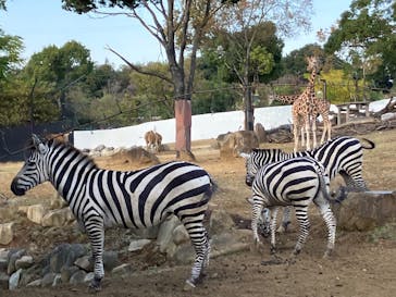 よこはま動物園ズーラシアに投稿された画像（2022/11/18）