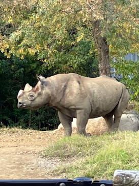 よこはま動物園ズーラシアに投稿された画像（2022/11/18）