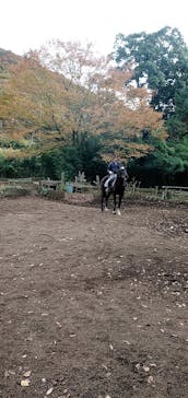 グリーングラス乗馬クラブに投稿された画像（2022/11/18）