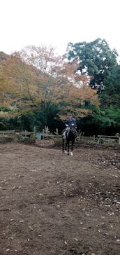 グリーングラス乗馬クラブに投稿された画像（2022/11/18）