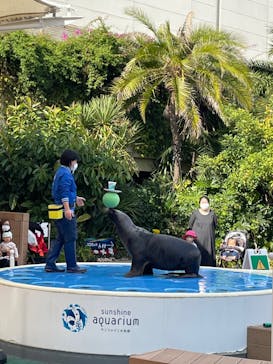 サンシャイン水族館に投稿された画像（2022/11/18）