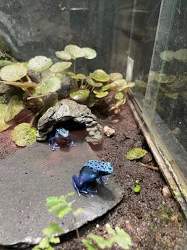 サンシャイン水族館に投稿された画像（2022/11/18）