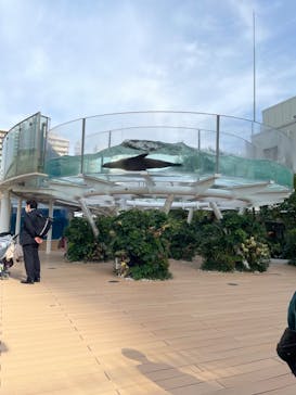 サンシャイン水族館に投稿された画像（2022/11/18）