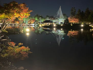 国営昭和記念公園 秋の夜散歩に投稿された画像（2022/11/18）