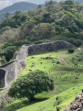 今帰仁城跡に投稿された画像（2022/11/18）