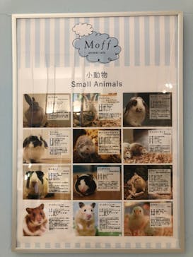 Moff アニマル カフェ イーアス 高尾店に投稿された画像（2022/11/18）
