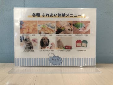 Moff アニマル カフェ イーアス 高尾店に投稿された画像（2022/11/18）