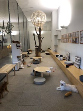 Moff アニマル カフェ イーアス 高尾店に投稿された画像（2022/11/18）