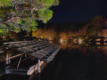 国営昭和記念公園 秋の夜散歩に投稿された画像（2022/11/18）