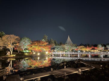 国営昭和記念公園 秋の夜散歩に投稿された画像（2022/11/18）