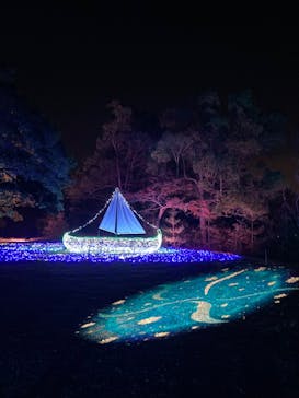 ムーミンバレーパークに投稿された画像（2022/11/18）