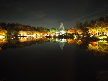 国営昭和記念公園 秋の夜散歩に投稿された画像（2022/11/18）