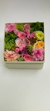 ずこうしつ〜sugamo〜に投稿された画像（2022/11/18）