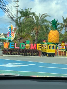 ナゴパイナップルパークに投稿された画像（2022/11/18）