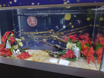マクセル アクアパーク品川に投稿された画像（2022/11/18）