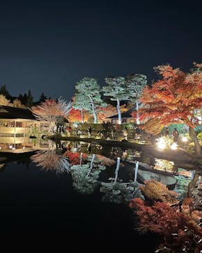 国営昭和記念公園 秋の夜散歩に投稿された画像（2022/11/18）