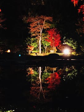 国営昭和記念公園 秋の夜散歩に投稿された画像（2022/11/18）