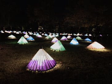 国営昭和記念公園 秋の夜散歩に投稿された画像（2022/11/18）