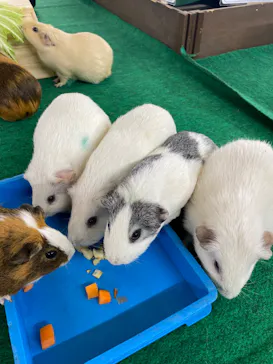 天王寺動物園に投稿された画像（2022/11/18）