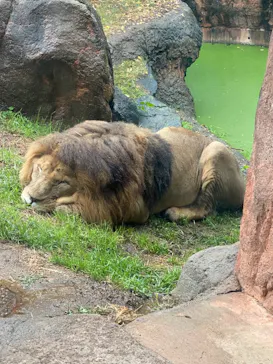 天王寺動物園に投稿された画像（2022/11/18）