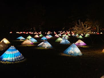 国営昭和記念公園 秋の夜散歩に投稿された画像（2022/11/18）