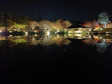 国営昭和記念公園 秋の夜散歩に投稿された画像（2022/11/18）